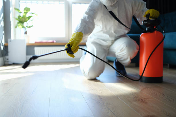 Reliable Odor Removal contractor in Jackson, CA by Trauma Clean Pros